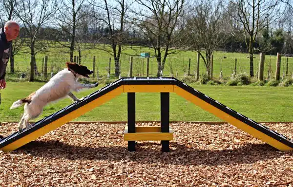 Sustainable recycled plastic dog agility equipment by DCW Polymers Ltd