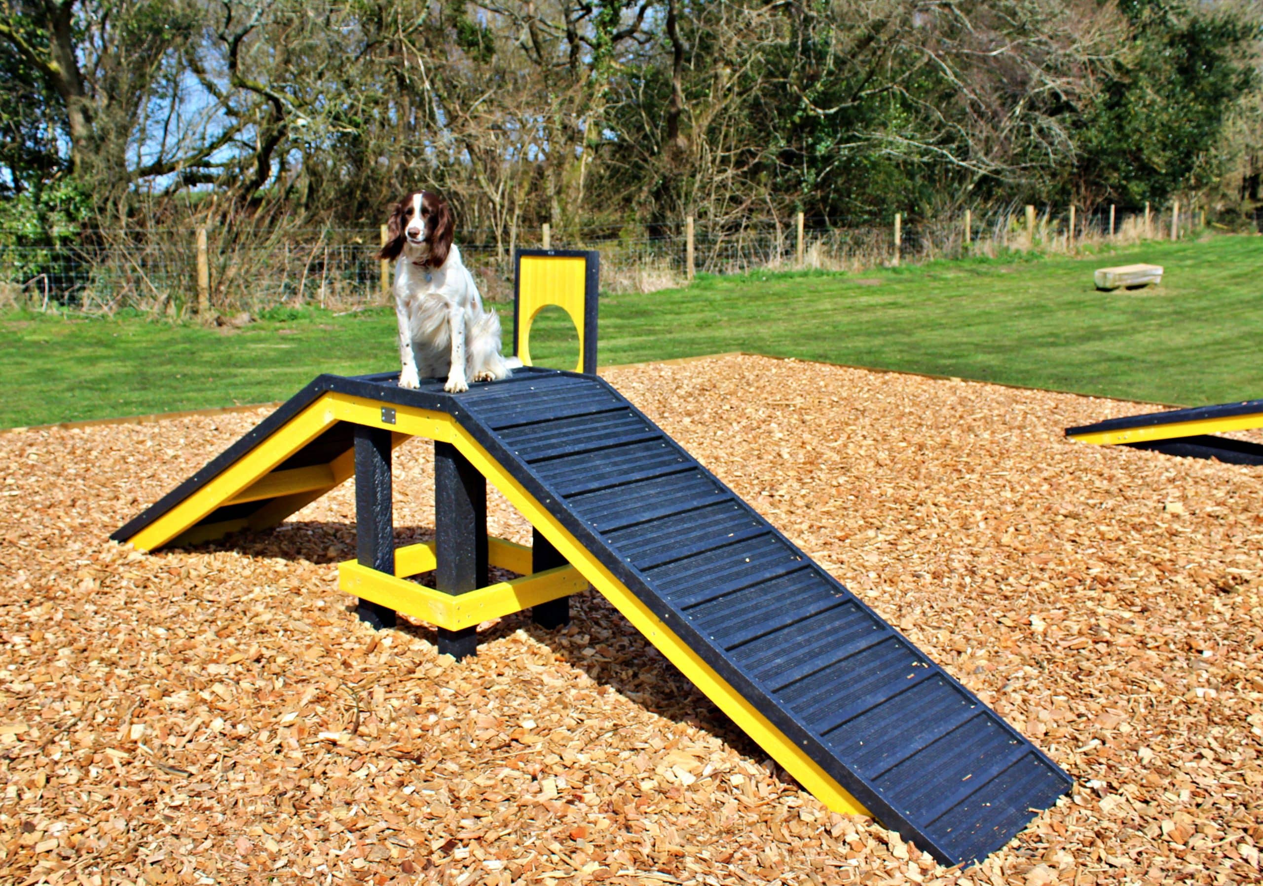 Sustainable Dog Agility Equipment at Woodland Springs